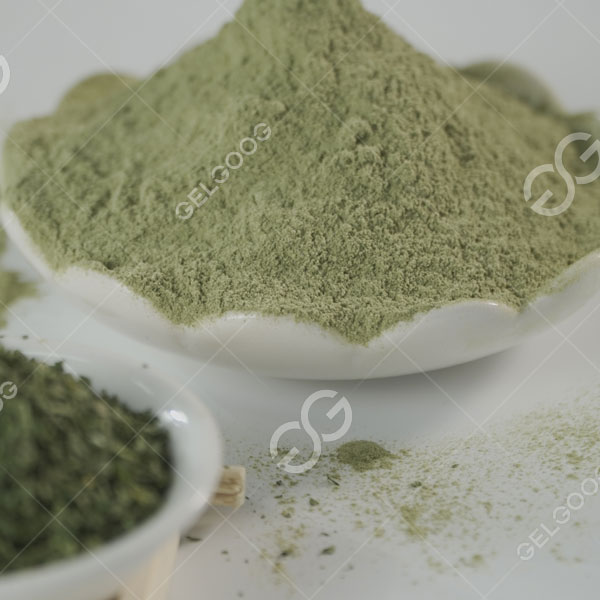 Moringa পাতার গুঁড়া উত্পাদন প্রক্রিয়াকরণ মেশিন